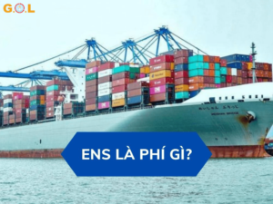 Sai sót trong ENS và nguyên nhân thường gặp
